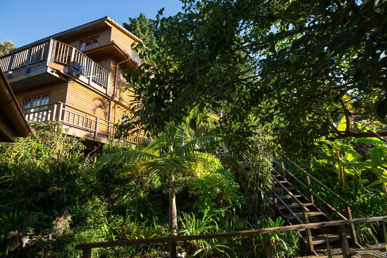 Big Tree House Lodge Knysna Dış mekan fotoğraf
