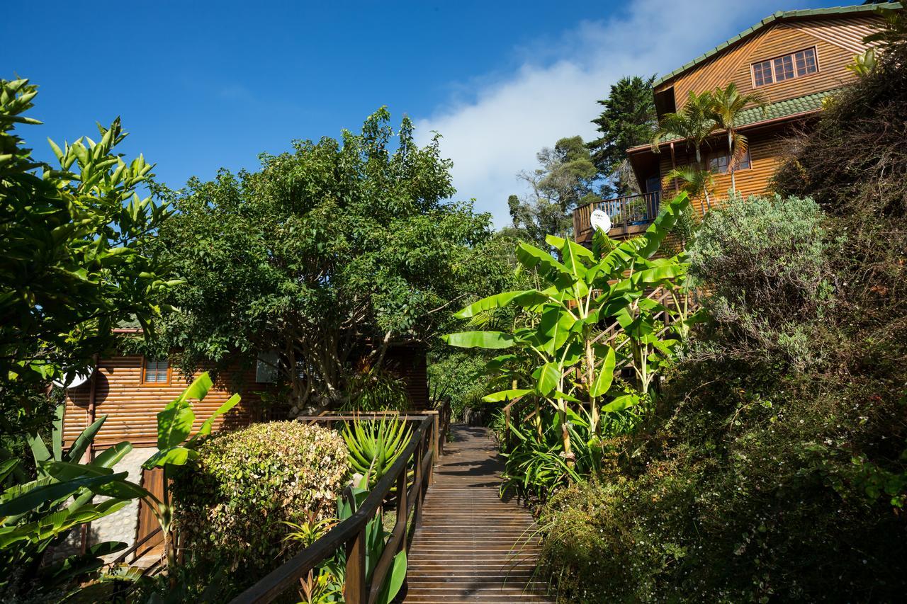Big Tree House Lodge Knysna Dış mekan fotoğraf