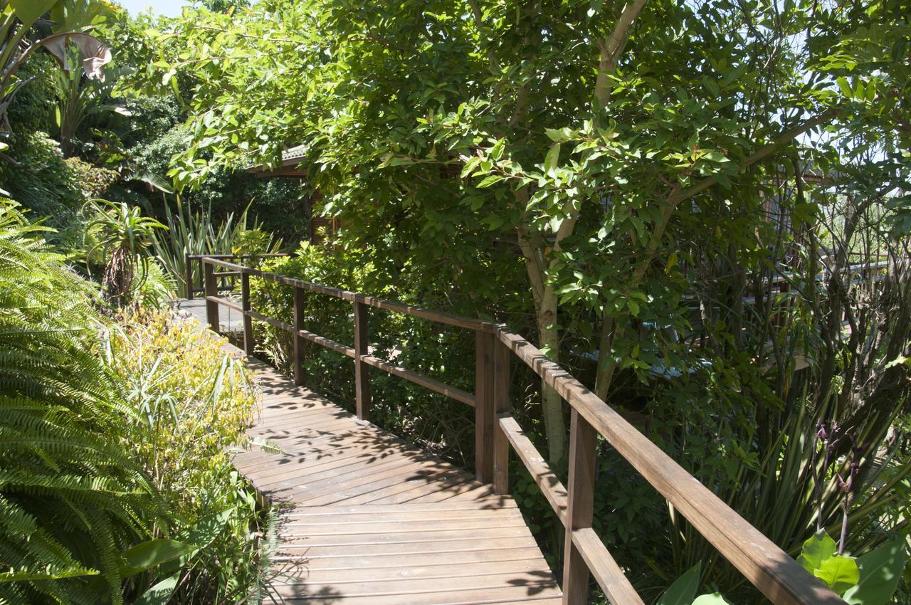 Big Tree House Lodge Knysna Dış mekan fotoğraf