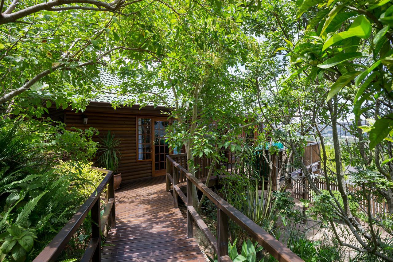 Big Tree House Lodge Knysna Dış mekan fotoğraf