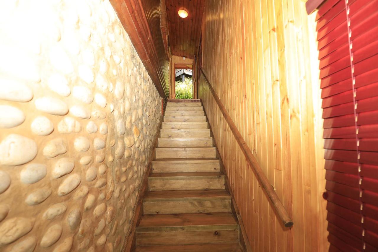 Big Tree House Lodge Knysna Dış mekan fotoğraf