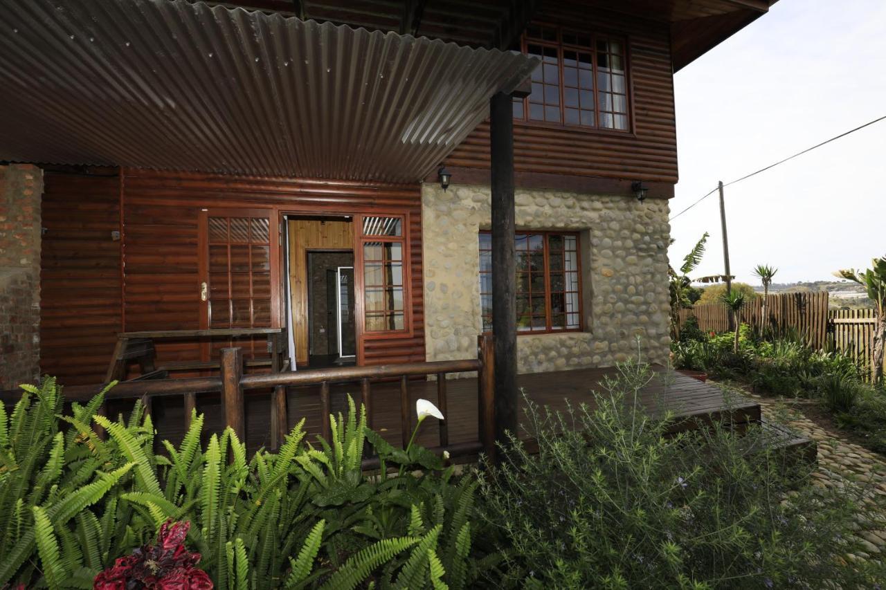 Big Tree House Lodge Knysna Dış mekan fotoğraf