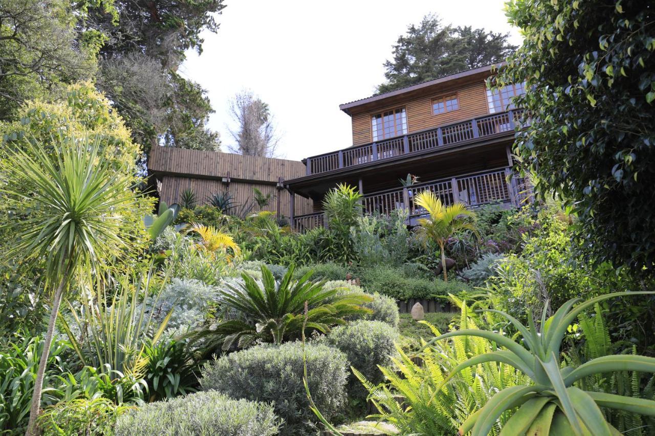 Big Tree House Lodge Knysna Dış mekan fotoğraf