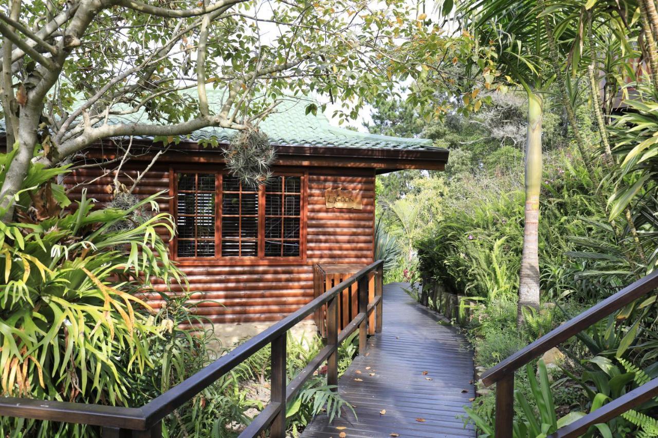 Big Tree House Lodge Knysna Dış mekan fotoğraf