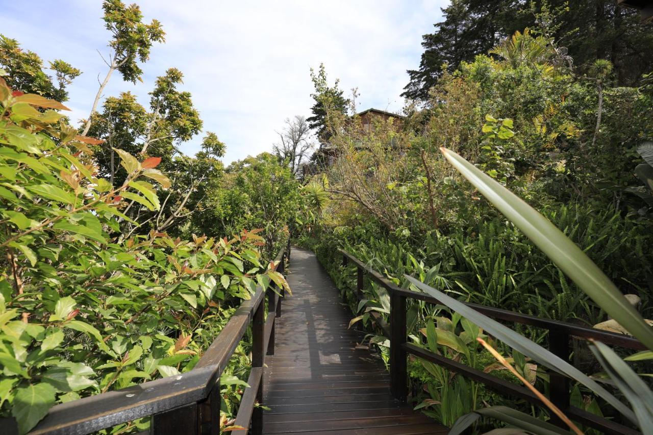 Big Tree House Lodge Knysna Dış mekan fotoğraf